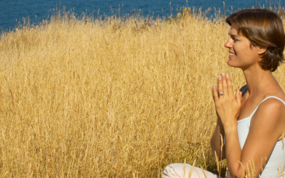 7 Steps to Boost Wellbeing – The Unedited Version!